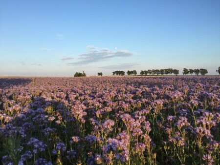King Of The Cobbles Mathieu Van Der Poel Wins Third Straight Paris-Roubaix – FloBikes