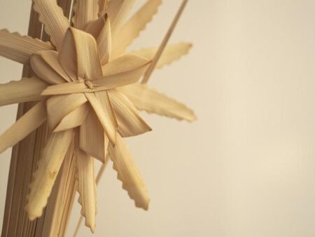 Khalil Ramos takes Gabbi Garcia to Monet’s Garden in France – GMA Network