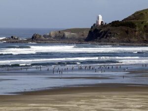 Agathe Dupuy: This student calls France home – hngnews.com