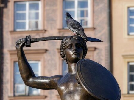 Travel in France Interrupted as Charles de Gaulle, Nice Côte d’Azur and Orly Airport Faces over a Dozen Flight Cancellations by Air France, Air Baltic and more, Affecting Passengers across Paris and Nice, New Update – Travel And Tour World