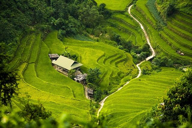 France’s President Grapples with Rising Isolation as Political Crisis Intensifies Against the wall: France’s president increasingly isolated as political crisis deepens – Euronews.com