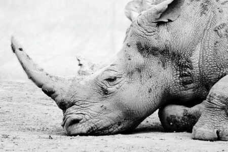 How A Small Southern City Reached The Heights Of France’s Sporting Big Leagues – Worldcrunch