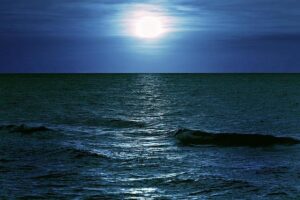 French Navy Baltic Presence Demonstrates NATO Commitment – navalnews.com