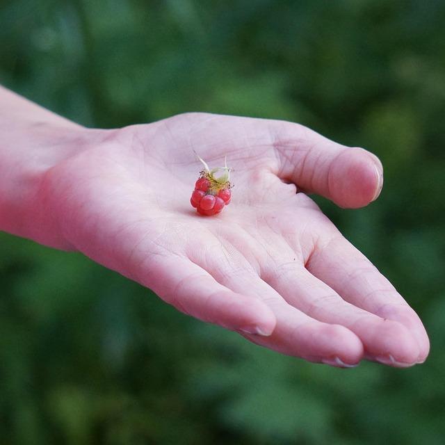 Tadej Pogacar Targets Sanremo and Roubaix, Shifting Focus from Tour de France in 2026 PRESS CONFERENCE: “If I ever win Sanremo and Roubaix… there is not much more you can do” – Tadej Pogacar puts Classics ambitions above Tour de France for 2026 – CyclingUpToDate.com