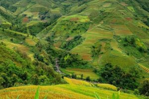 Rice scholar offers insight into politics, identity shaping modern France – Rice University