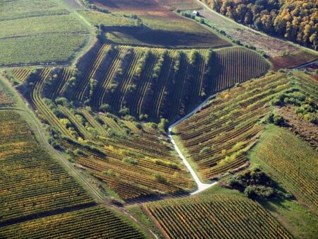 Forget Bordeaux. This underrated French wine region is calling – The Age