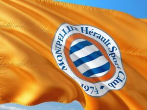 Montpellier deny ‘racism’ allegations in Fowler’s book – RFI