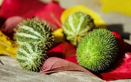 New eMarketer Report Examines Consumption of Digital Entertainment in France and Germany – eMarketer