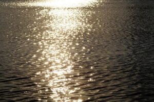 French startup Scintil Photonics raises €50 million to scale integrated photonics for AI factories – EU-Startups