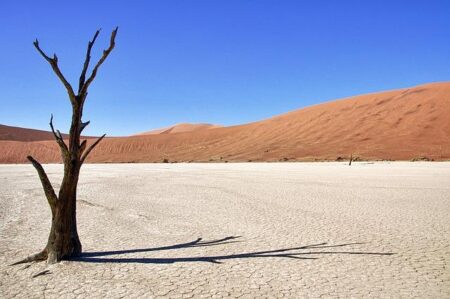 Cardiff case against Nantes over Emiliano Sala death opens in France on Monday – Nation.Cymru