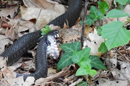 France honours Mehdi Kessaci, victim of Marseille shooting in nationwide silent march – France 24