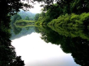 France calls Algeria colonisation law ‘hostile’ and blow to dialogue – RFI