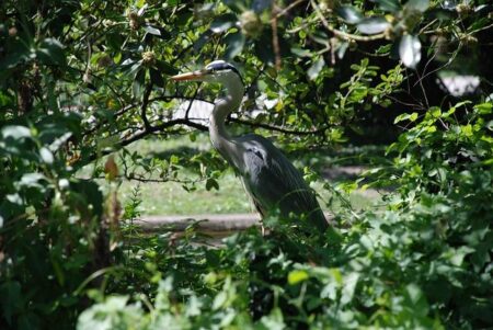 How did Grenoble start a French water revolution? It made its water management public – openDemocracy