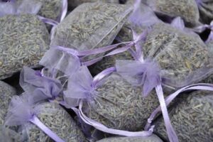 A year in Aix-en-Provence – Complete France