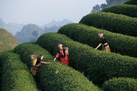 How Advisors Can Optimize and Personalize the Customer Experience – Travel Weekly