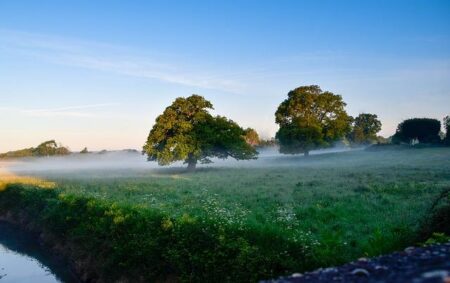 A Sunday in Nice in Nice – Atlas Obscura