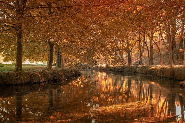 Roberto De Zerbi leaves Marseille after latest humiliation – and could seal an immediate return to Premier League – talkSPORT