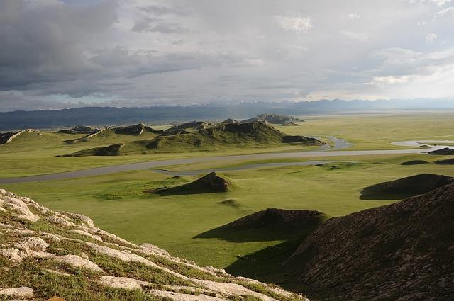 Top Entertainment Stars Unite in Bold Support of Controversial UN Palestinians Expert Top entertainment figures back under-fire UN Palestinians expert – France 24