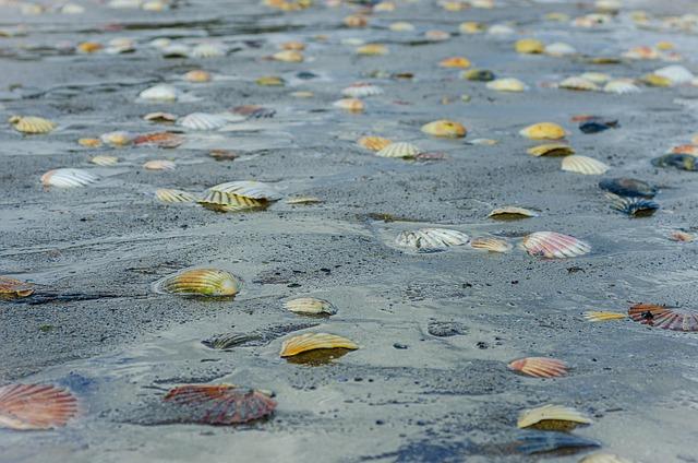 Jacques Leveugle: French man charged with abusing 89 teens dating back to 1960s – BBC