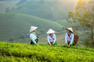 Vietnam, France step up cooperation in agriculture, education, sustainable development – Vietnam+ (VietnamPlus)