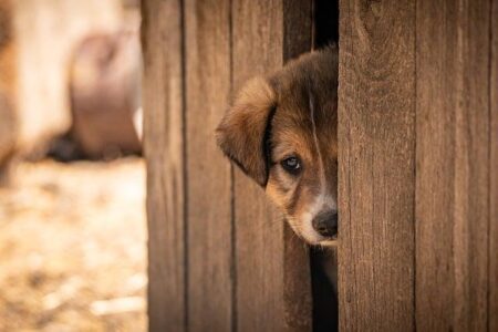 France Set to Approve Budget as Premier Survives Ouster Vote in Dramatic Political Victory France Set to Adopt Budget as Premier Survives Ouster Motion – Bloomberg