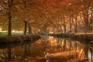 5 Reasons to Study French at the Institut de Français in Nice – France Today