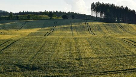 Poland Evaluates French Submarine Offer under ‘ORKA’ Program during Toulon Visit – Defensemirror.com