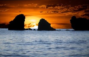 France Business Survey – Investing.com