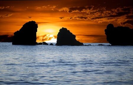 Unveiling France’s Business Landscape: Essential Insights and Emerging Trends France Business Survey – Investing.com