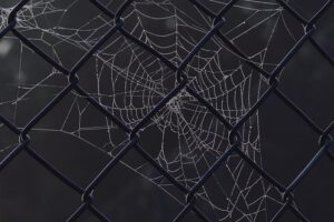 This Low-key French Town Has Cool Hotels, Excellent Surfing, and Avant-garde Fashion—How to Plan Your Trip – Travel + Leisure