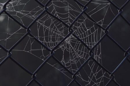 Explore a Charming French Town Packed with Trendy Hotels, Epic Surfing, and Cutting-Edge Fashion – Your Ultimate Travel Guide This Low-key French Town Has Cool Hotels, Excellent Surfing, and Avant-garde Fashion—How to Plan Your Trip – Travel + Leisure