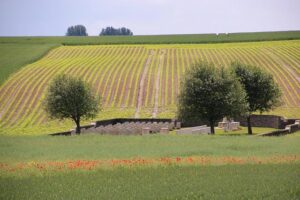 Grave of soldier missing since 1940 identified in France – GOV.UK