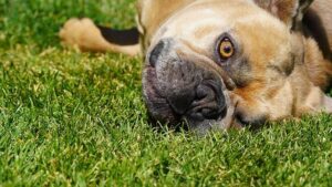 Prosecutors open hate speech probe against French rolling news channel CNews – Reuters