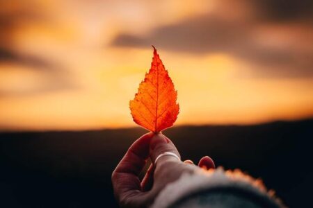 Stray Kids earns France single gold, becomes first 4th‑gen boy group to do so – CHOSUNBIZ – Chosunbiz