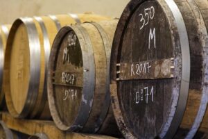 Bordeaux Vineyards | Wines, Tours & Heritage – France Today