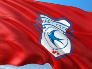 Ruling on Cardiff City’s Emiliano Sala case against Nantes due in March – BBC