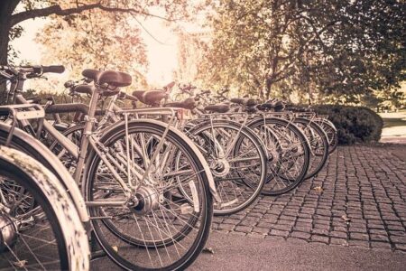 Thieves Are Stealing the Cobblestones from Pro Cycling’s Hardest Race. This Fan Is Furious. – Outside Magazine