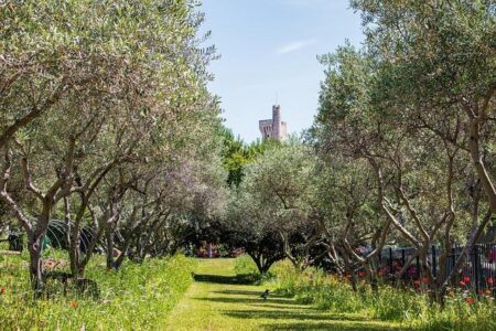 Villeneuve-les-Avignon Population 2026 – World Population Review