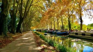 A City in Motion: Cycling, Boating and Dancing Through Toulouse – France Today