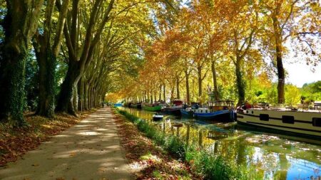 A City in Motion: Cycling, Boating and Dancing Through Toulouse – France Today