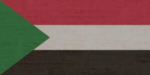 Sudan’s RSF paramilitaries accused of crimes against humanity in El Fasher – RFI