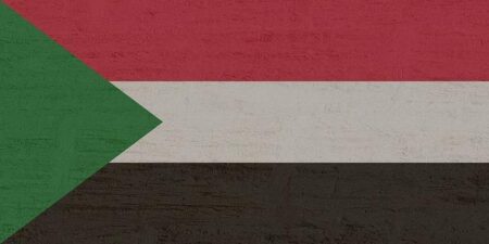 Sudan’s RSF paramilitaries accused of crimes against humanity in El Fasher – RFI