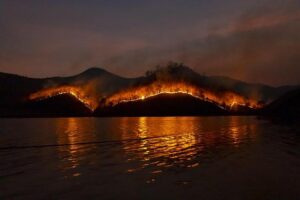 Homes evacuated and trains suspended due to wildfire in France – The Independent