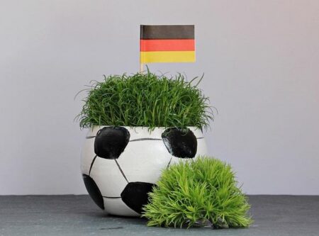 How to watch Australia vs. France in the 2026 Nations Championship online for free – Mashable