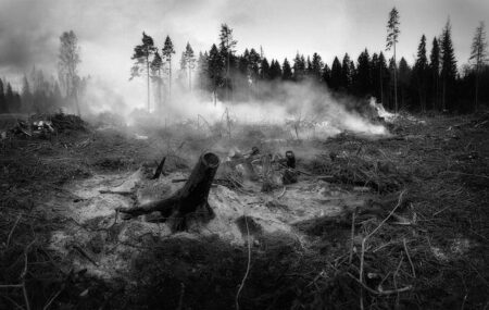 European countries battle multiple wildfires as record heat grips the continent – Audacy