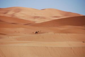 Morocco footballer Hakimi to appeal rape trial order – France 24
