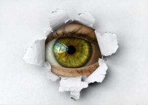 France Éducation International Privacy Breach – Calgary Board of Education