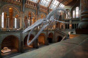 France’s National Museum of Education explores role and evolution of clothing in schools – Fashion United