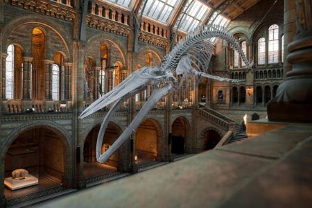 France’s National Museum of Education explores role and evolution of clothing in schools – Fashion United
