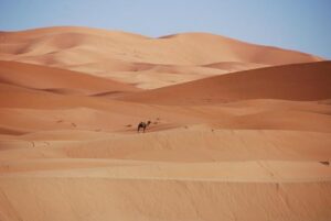 France Thanks Morocco Following Arrest of 16 Suspects in Crime Crackdown – Morocco World News
